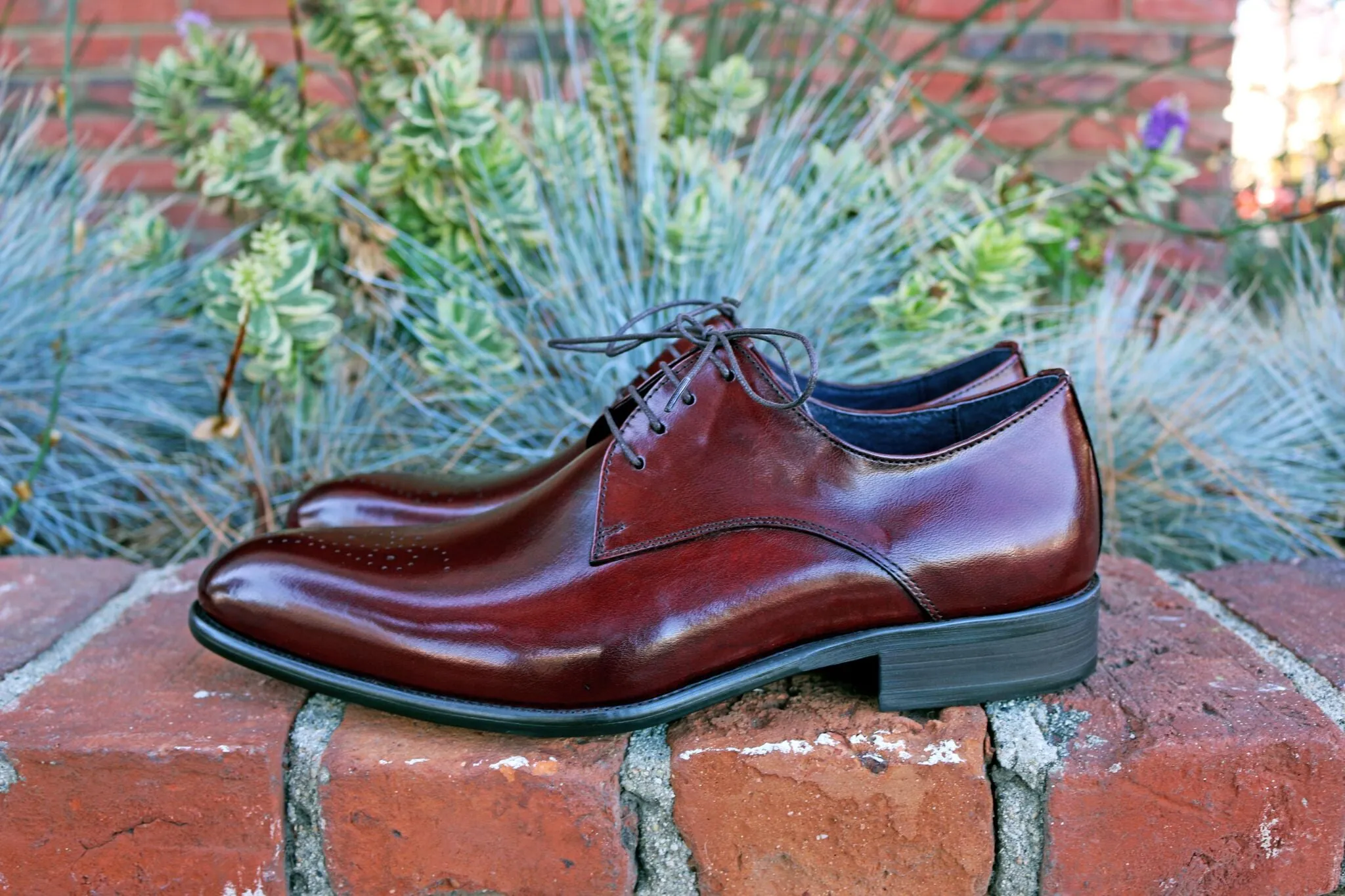 Burnished Calfskin Lace-Up Oxford Burgundy