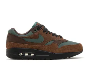 Nike Air Max 1 'Beef & Broccoli'